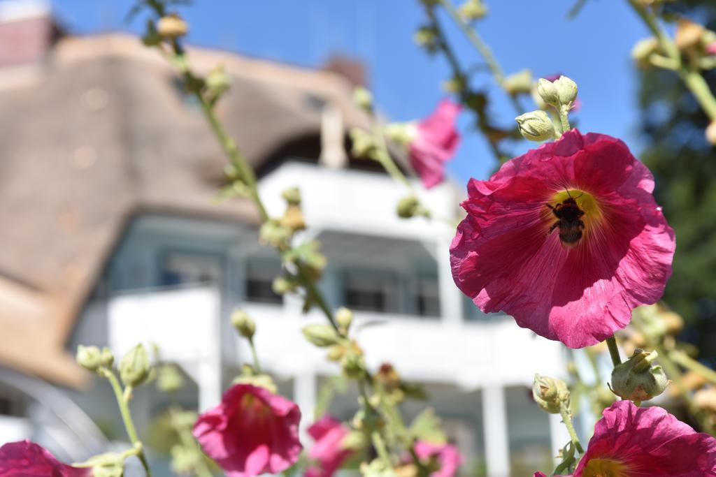 Romantik Hotel Fischerwiege アーレンスホープ エクステリア 写真